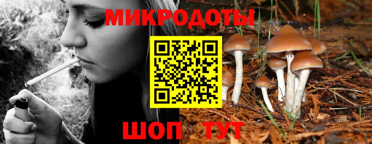 Псилоцибиновые грибы MAGIC MUSHROOMS Отрадное