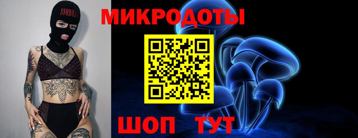 Отрадное  Галлюциногенные грибы MAGIC MUSHROOMS  Вход с VPN  Галлюциногенные грибы прущие грибы 